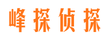 黄陂私家调查公司